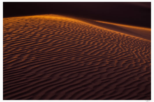 Saharan Sands