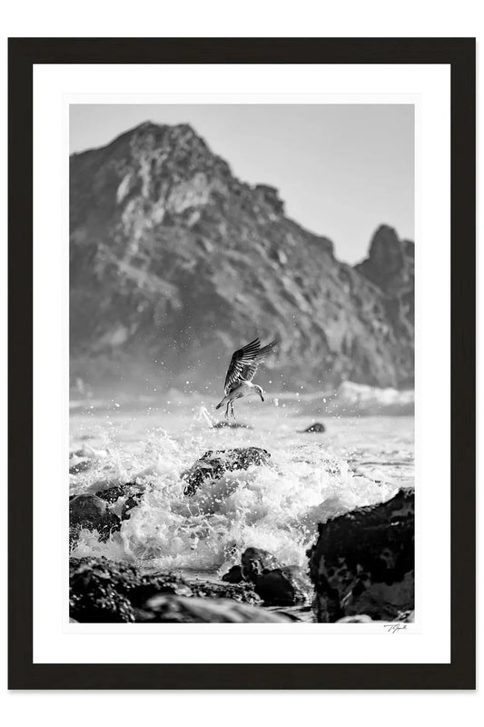 Sea Splash - Tommy Joyce