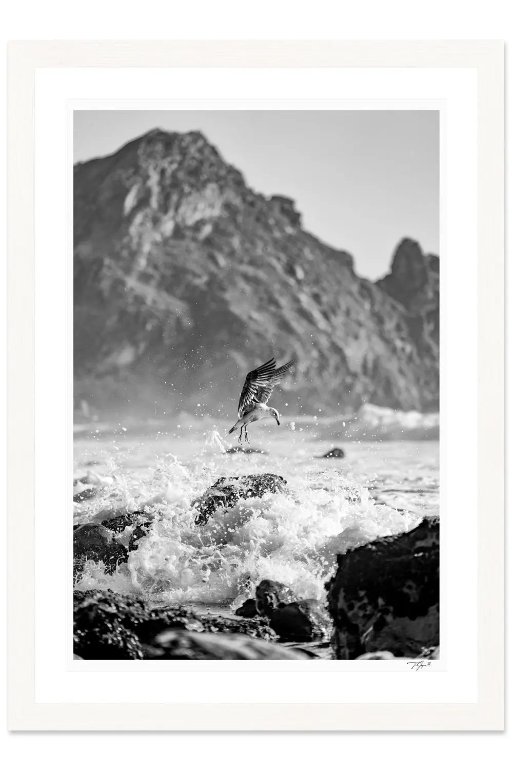 Sea Splash - Tommy Joyce