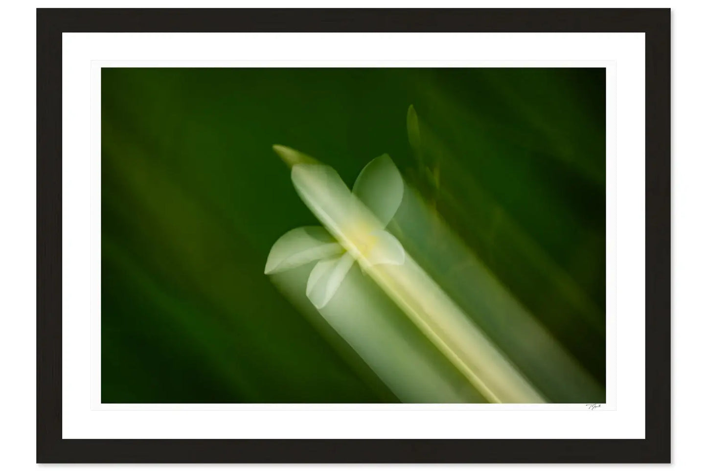 Full Bloom My Store