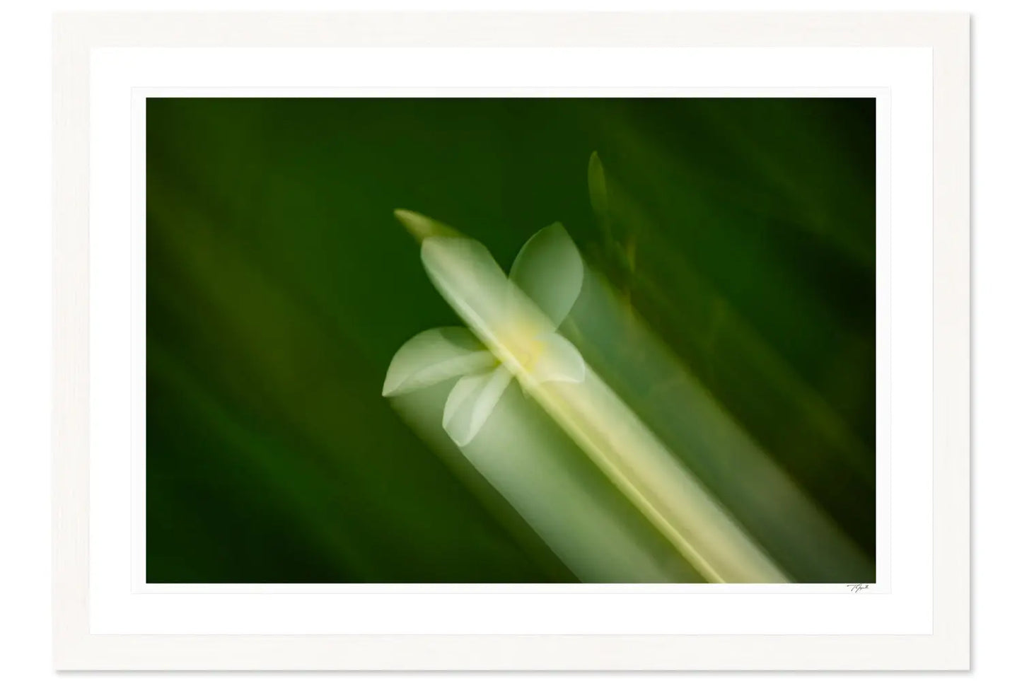 Full Bloom My Store