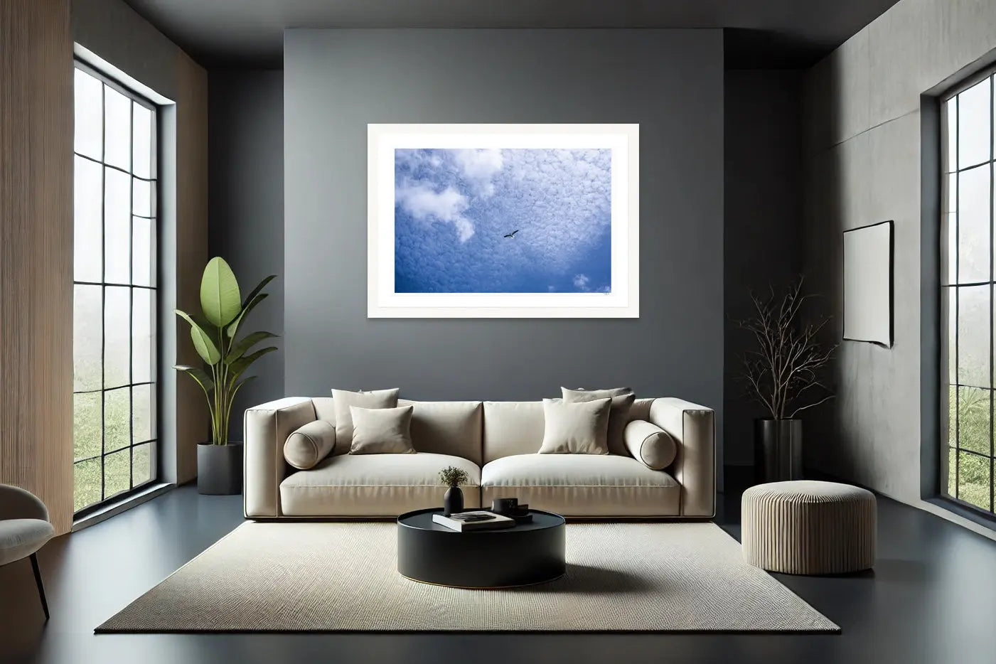 Skyward My Store