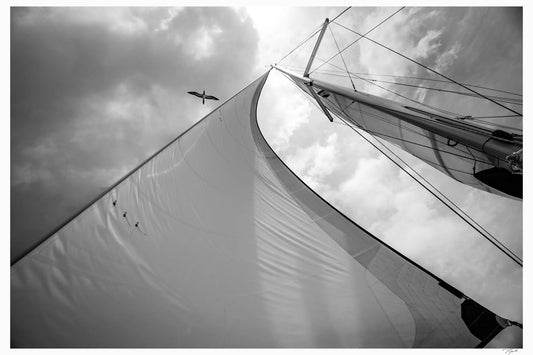 Under Sail - Tommy Joyce