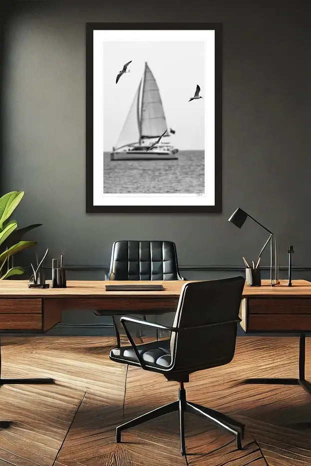 Seagull Sails - Tommy Joyce