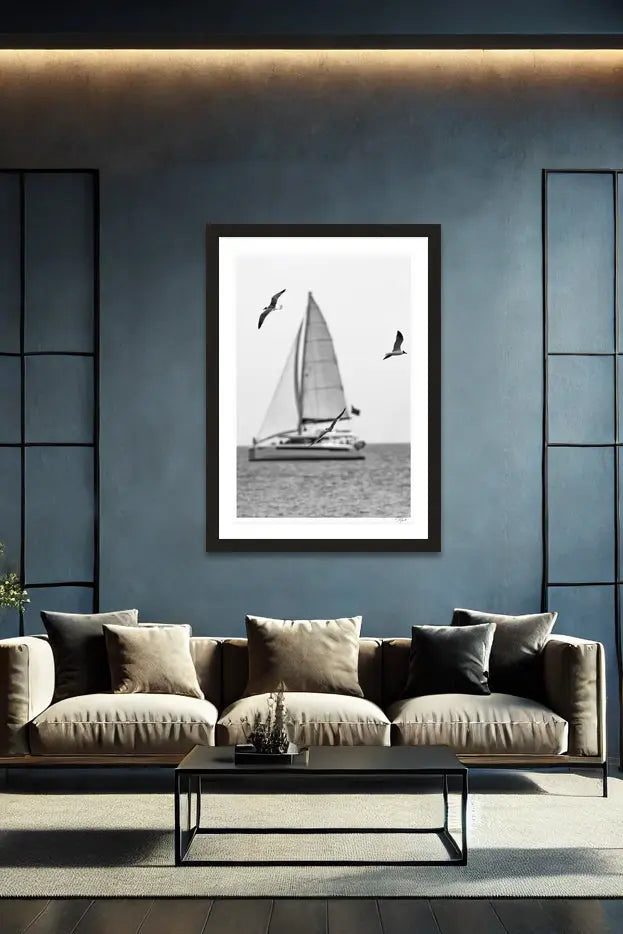Seagull Sails - Tommy Joyce