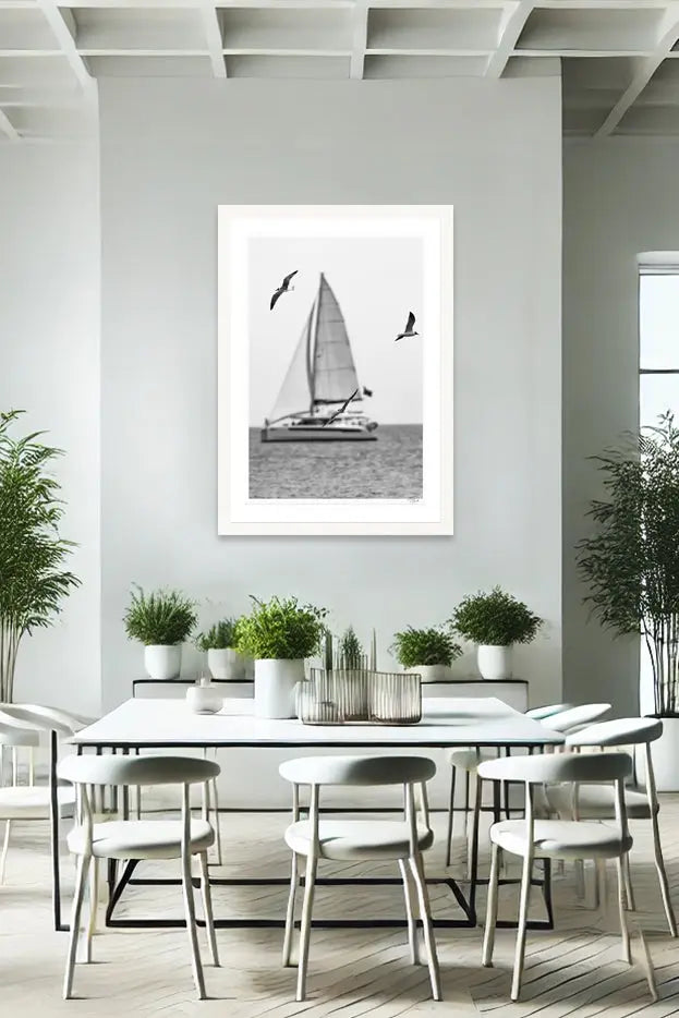 Seagull Sails - Tommy Joyce