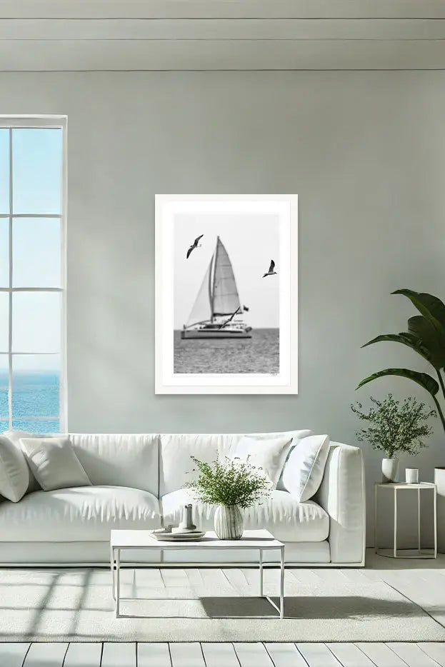 Seagull Sails - Tommy Joyce
