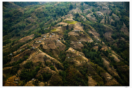 Endless Terrace - Tommy Joyce