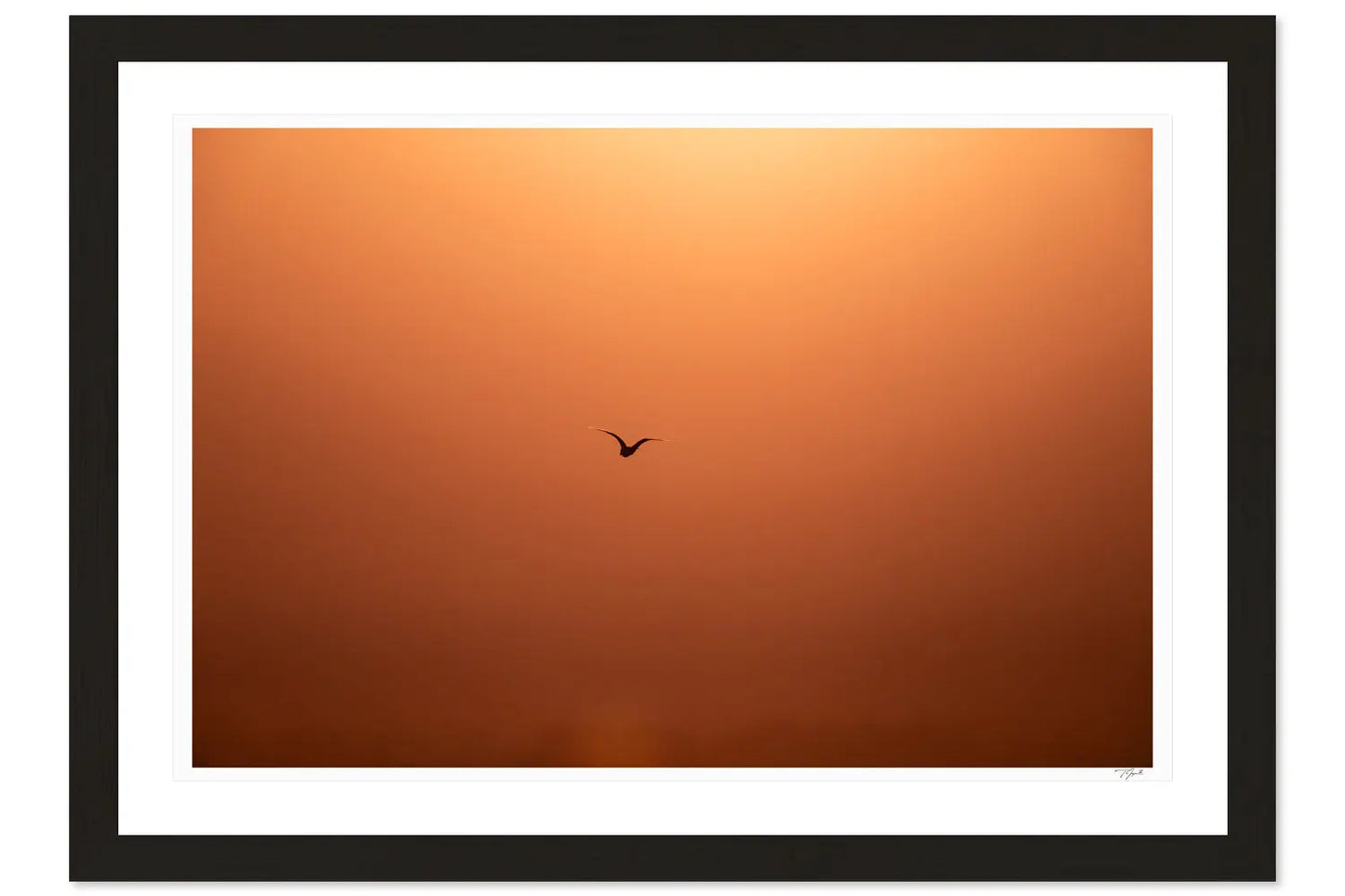 Sunset Silhouette - Tommy Joyce