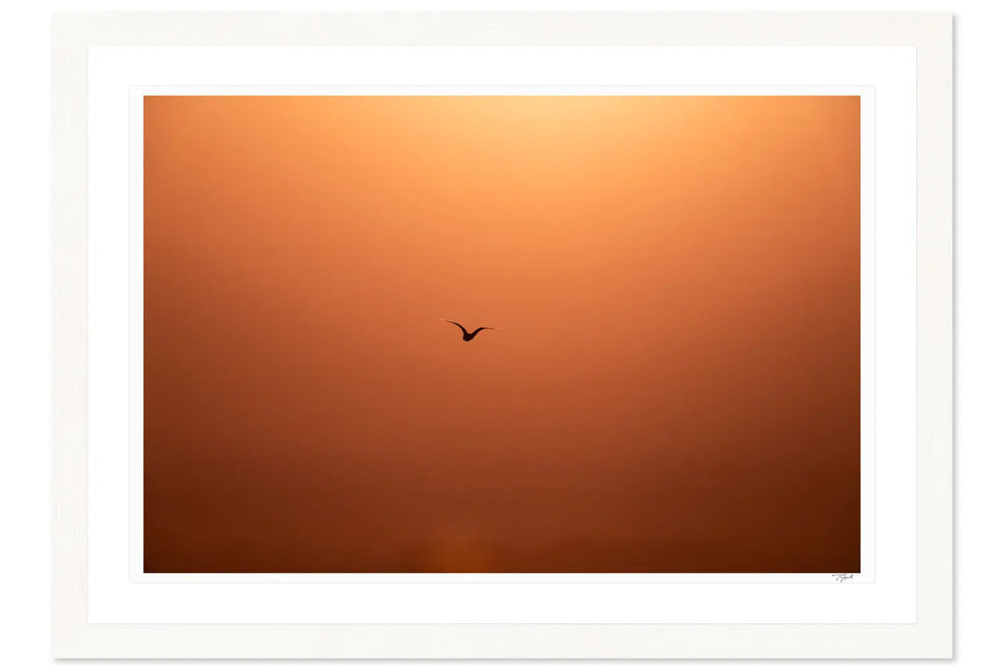 Sunset Silhouette - Tommy Joyce