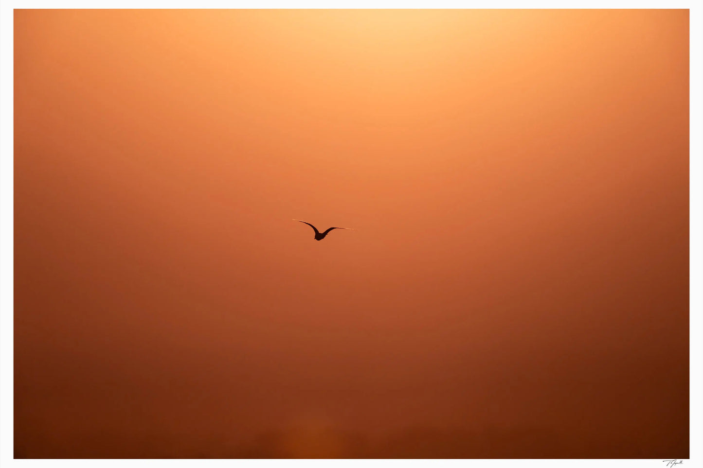 Sunset Silhouette - Tommy Joyce