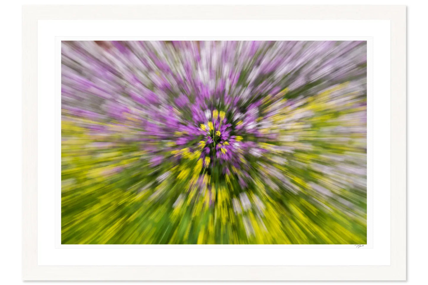Spring Blooming - Tommy Joyce