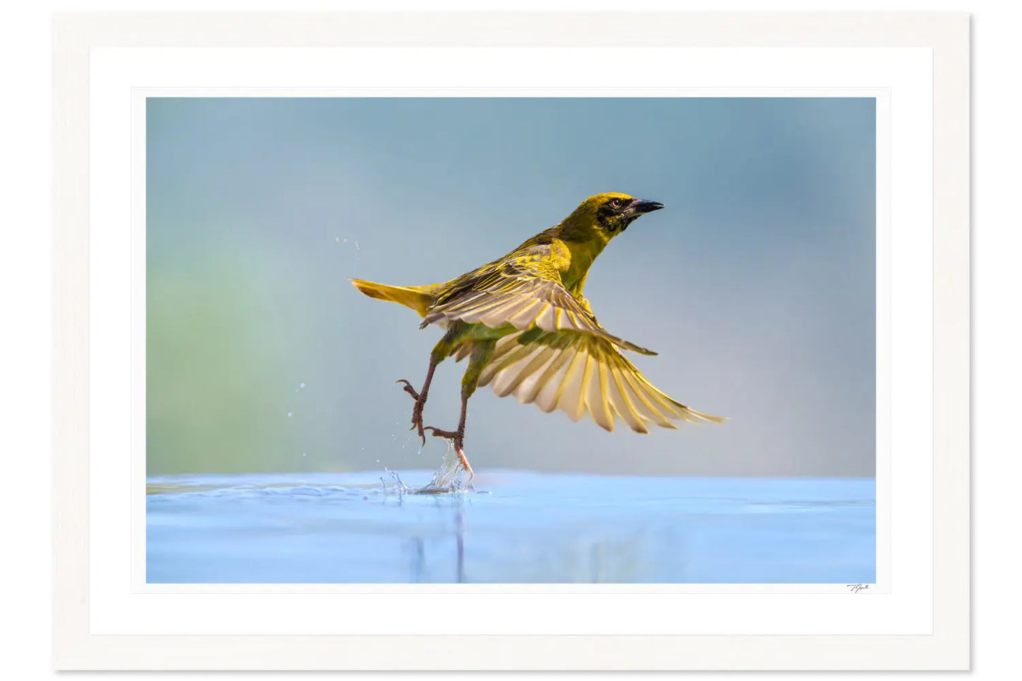 Weaver Leap My Store