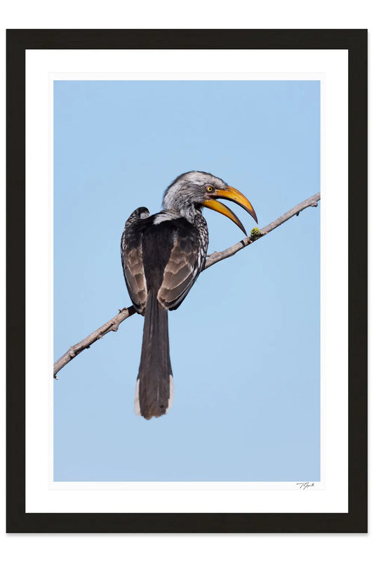 Last Snack - Tommy Joyce