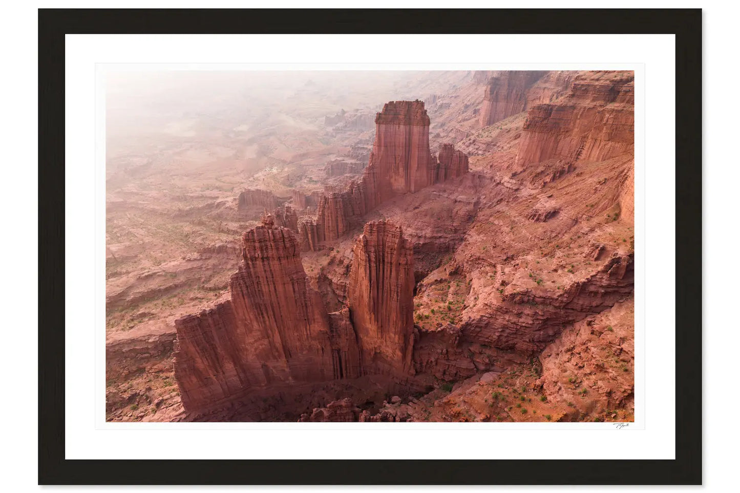 Desert Towers - Tommy Joyce
