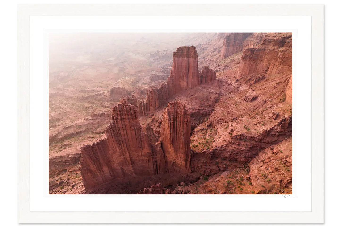 Desert Towers - Tommy Joyce