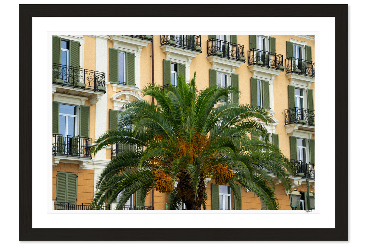Palm Presence
