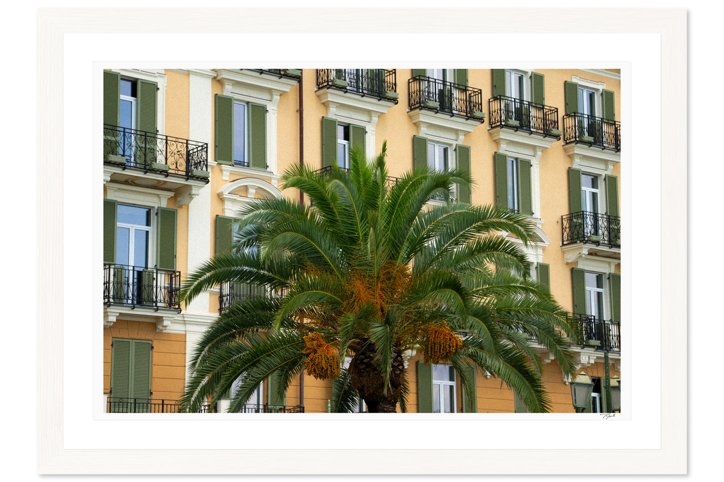 Palm Presence