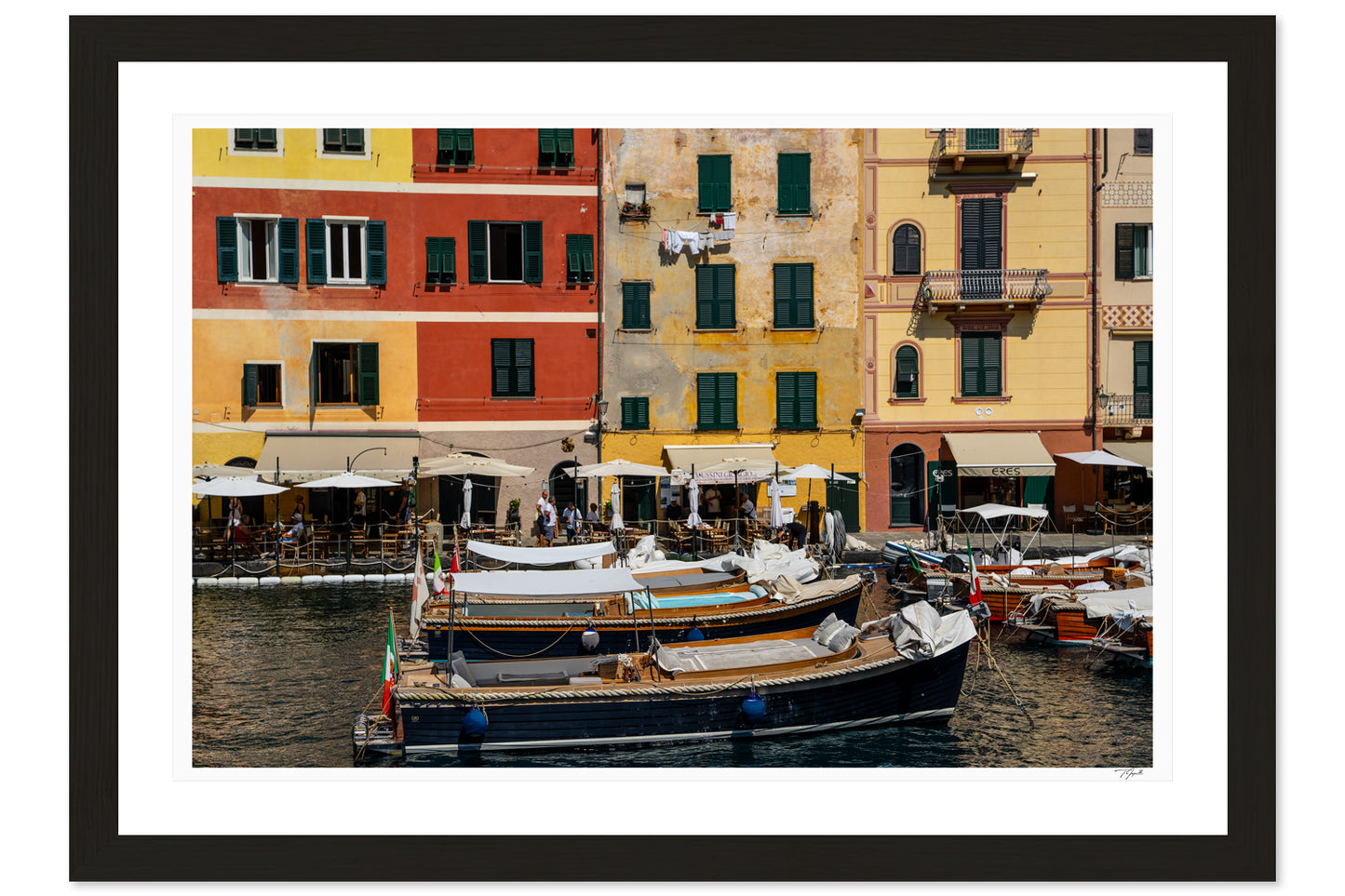 Harbor Hues