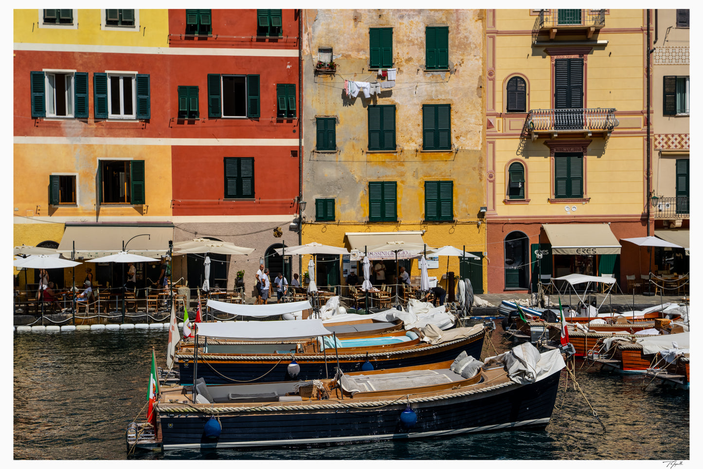 Harbor Hues