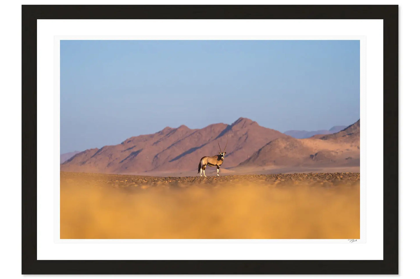 Lone Oryx - Tommy Joyce