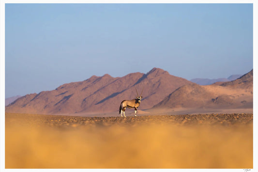Lone Oryx - Tommy Joyce