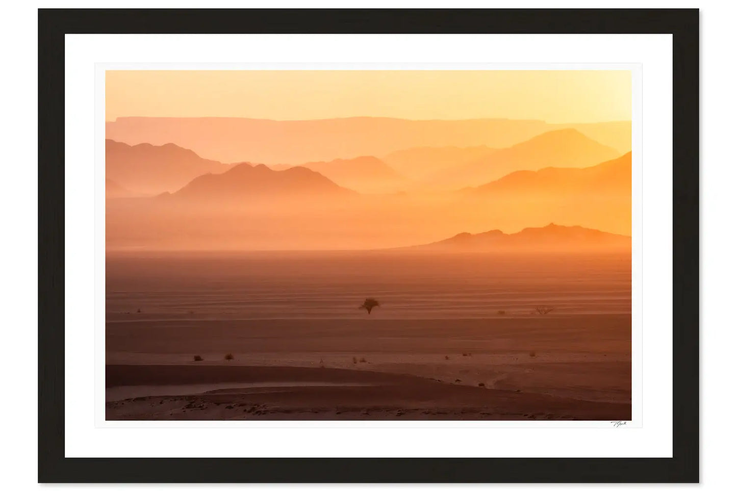Namibian Dawn - Tommy Joyce