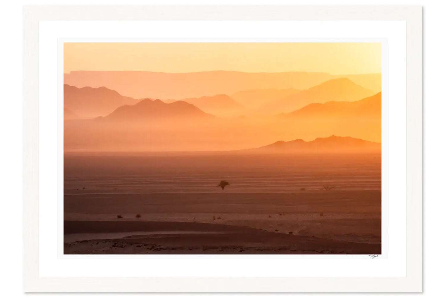 Namibian Dawn - Tommy Joyce