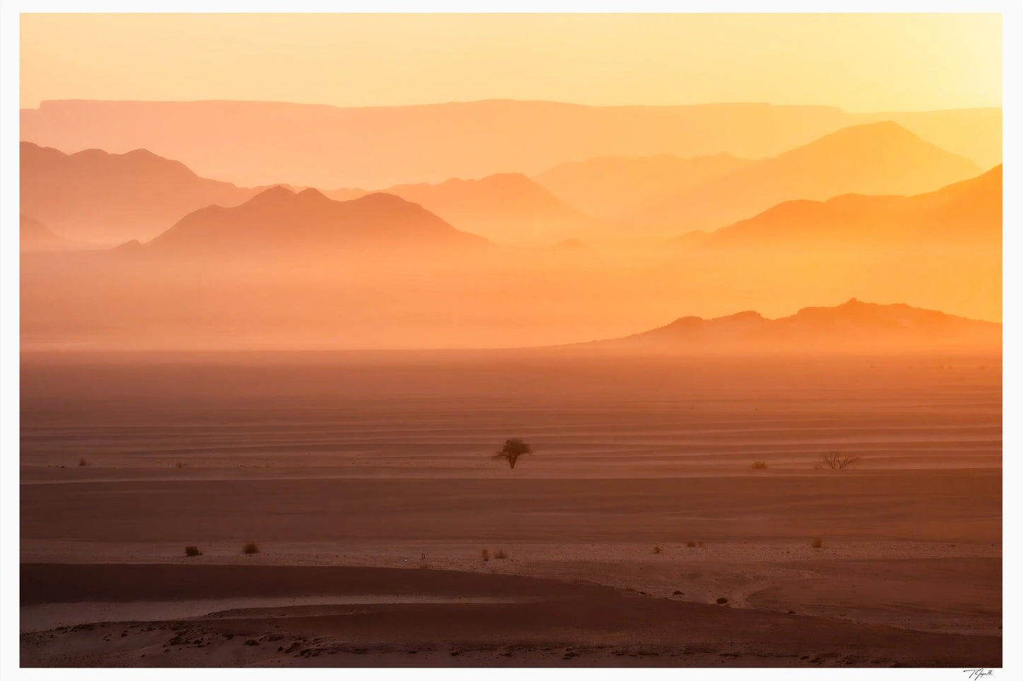 Namibian Dawn - Tommy Joyce
