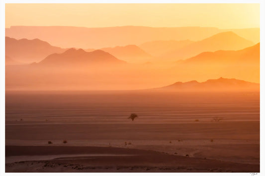 Namibian Dawn - Tommy Joyce