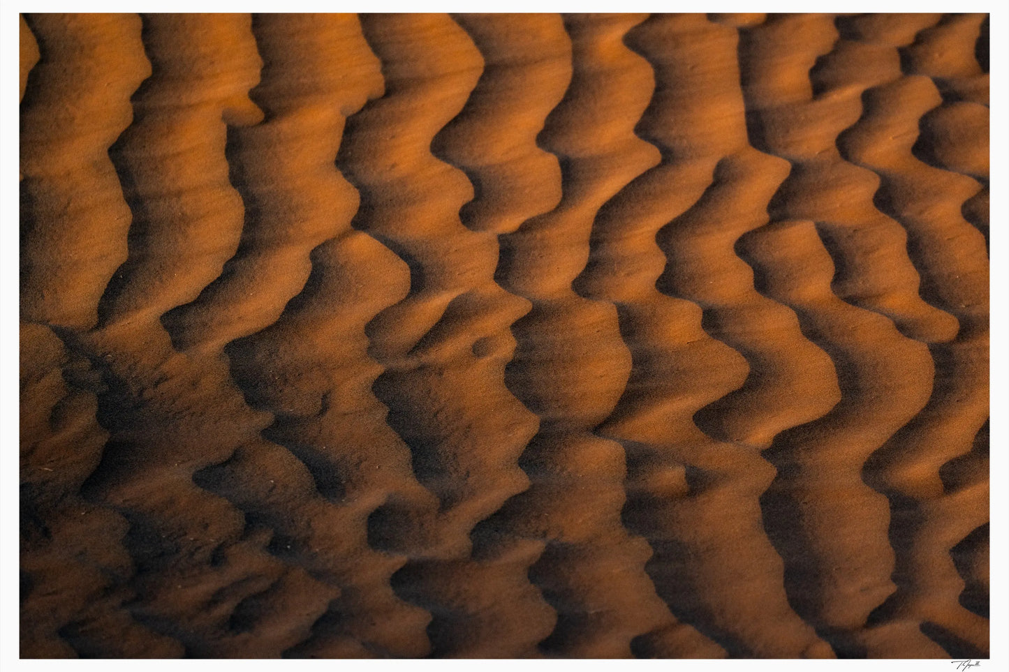 Sunrise Sand - Tommy Joyce