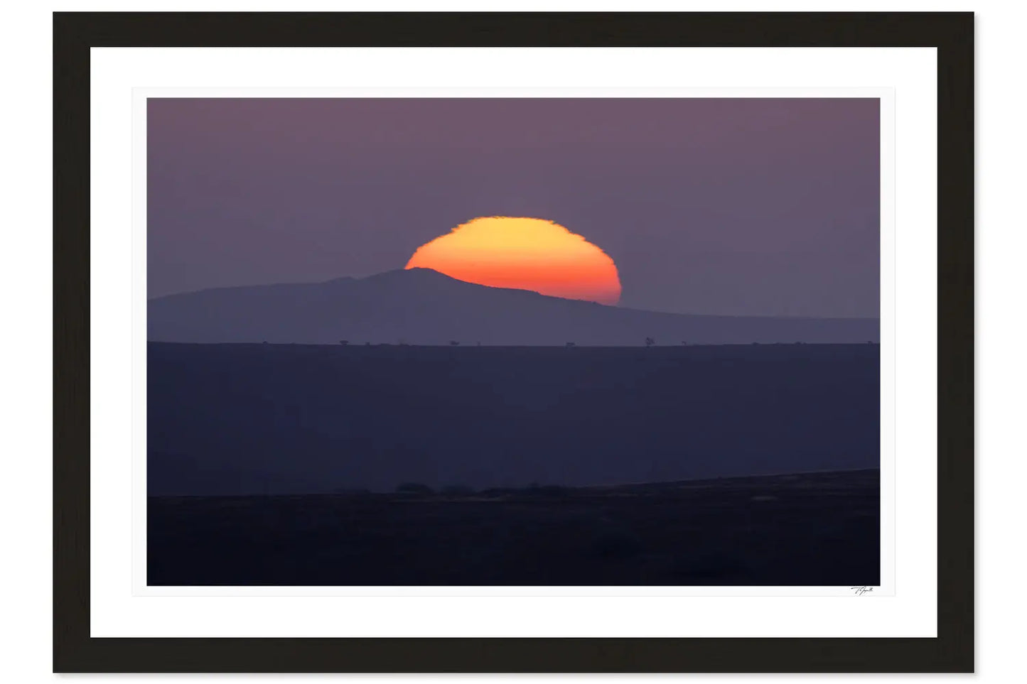 Sunset Sunball - Tommy Joyce