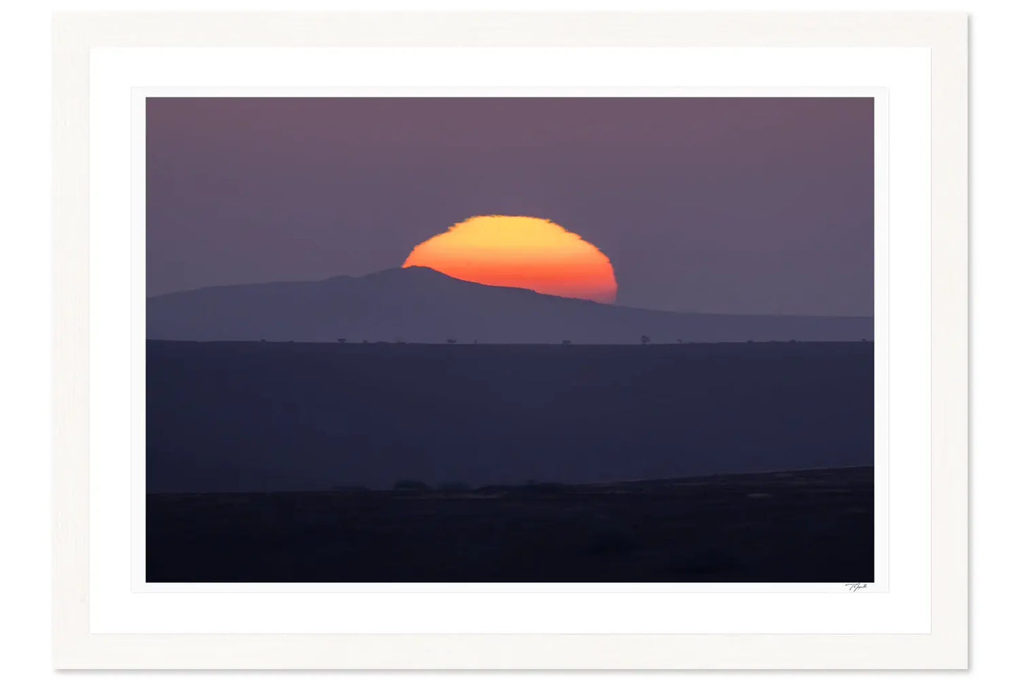 Sunset Sunball - Tommy Joyce