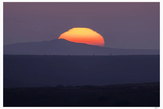 Sunset Sunball - Tommy Joyce
