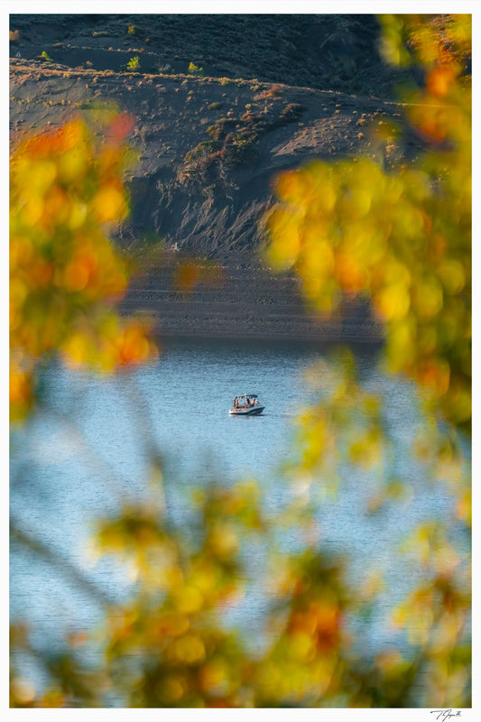 Autumn Lake Day - Tommy Joyce