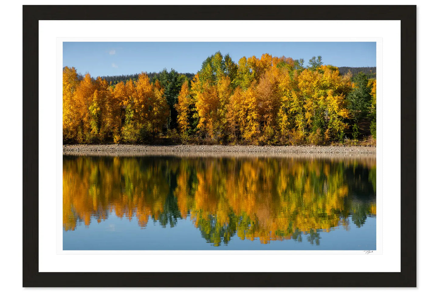 Fall Reflections My Store