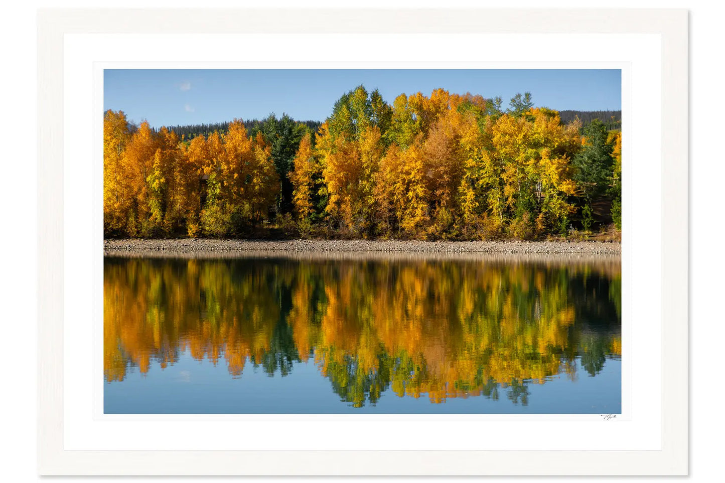Fall Reflections My Store