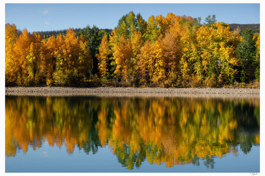 Fall Reflections My Store