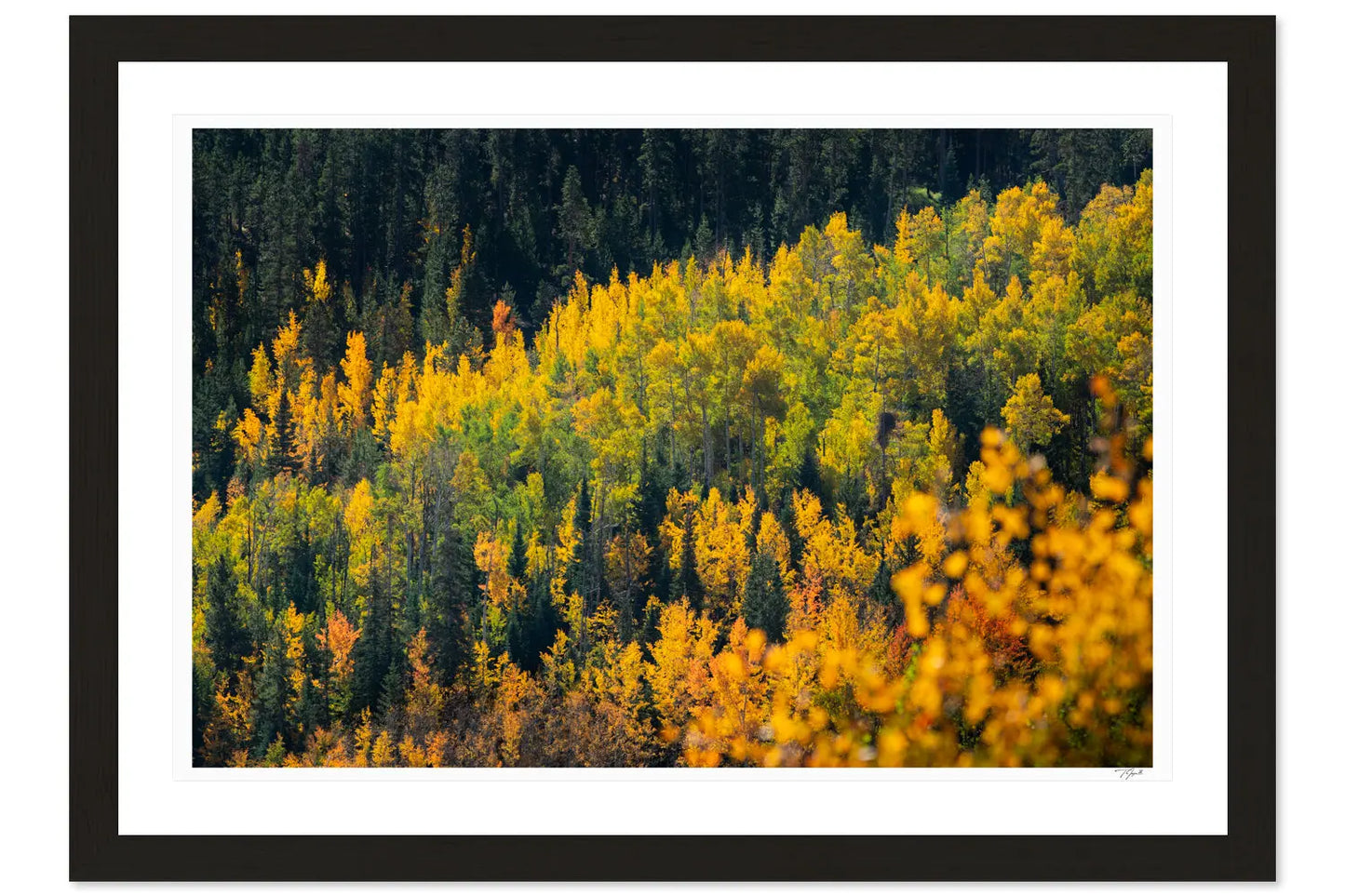 Golden Leaves My Store