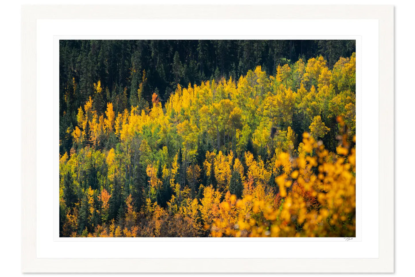 Golden Leaves My Store