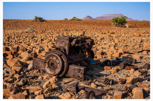 Desert Relic - Tommy Joyce