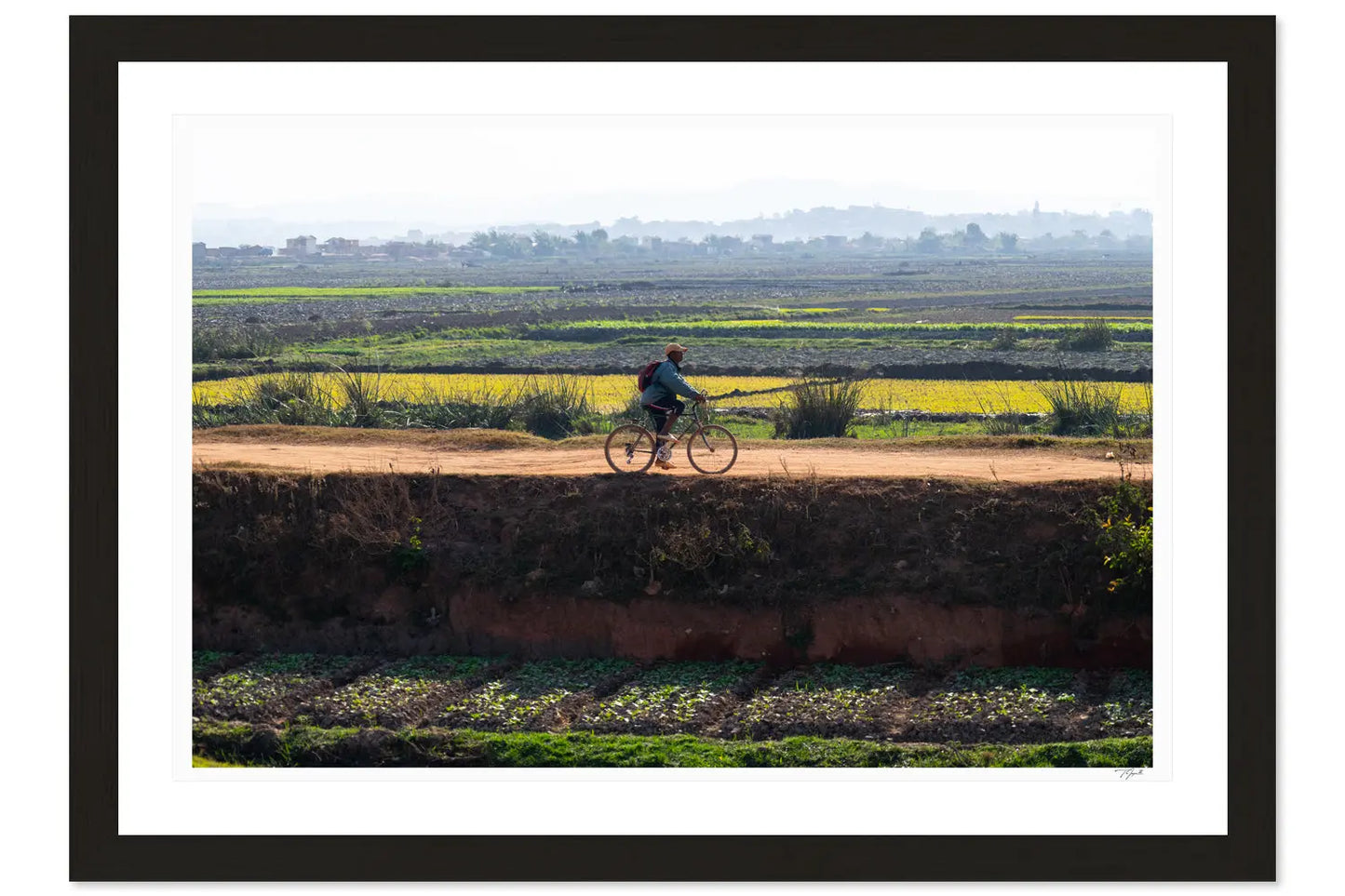 Malagasi Cyclist - Tommy Joyce