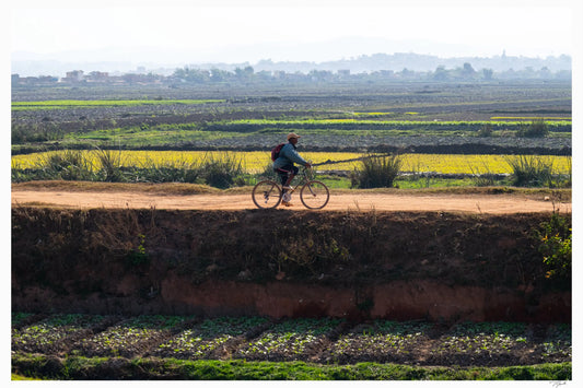 Malagasi Cyclist - Tommy Joyce
