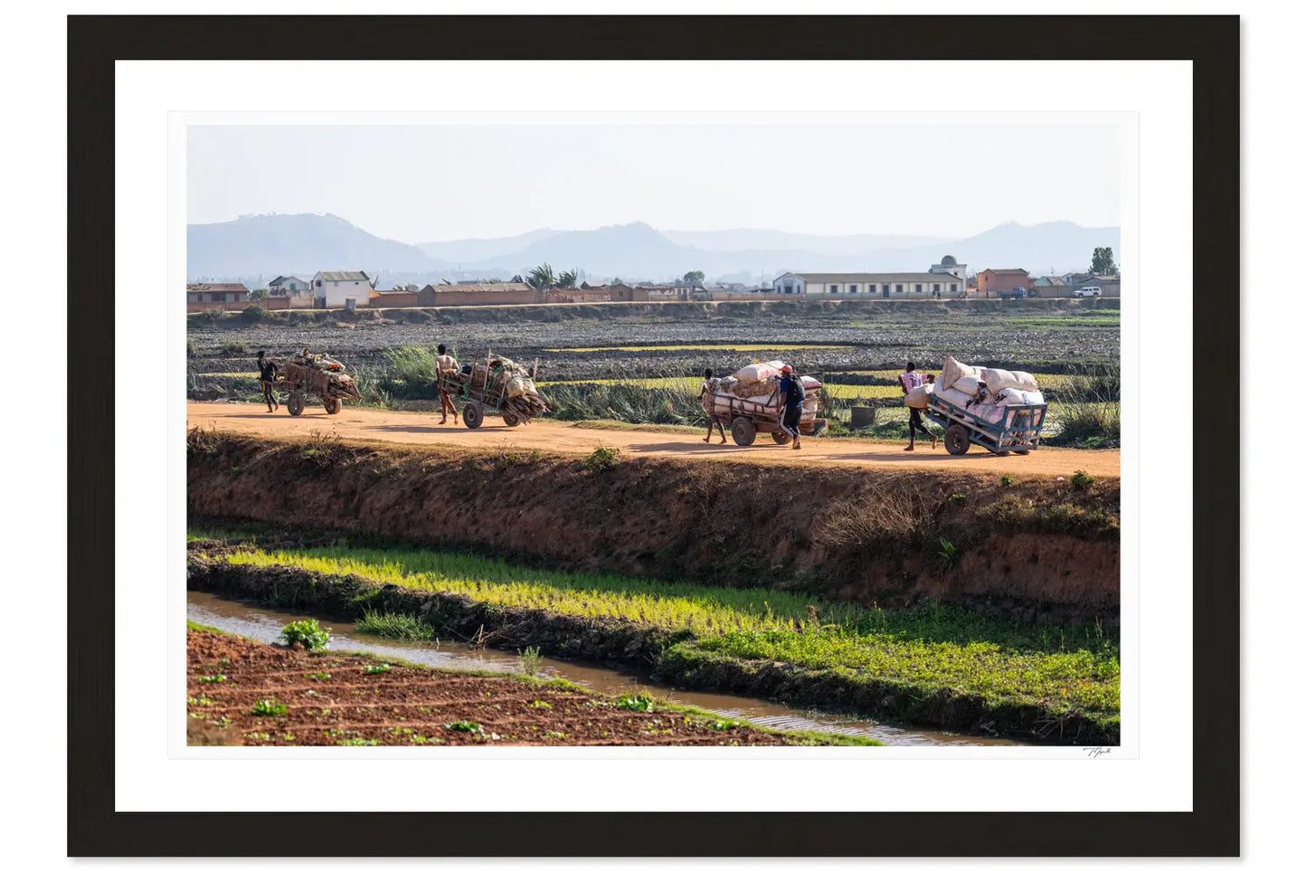 Malagasi Farmers - Tommy Joyce