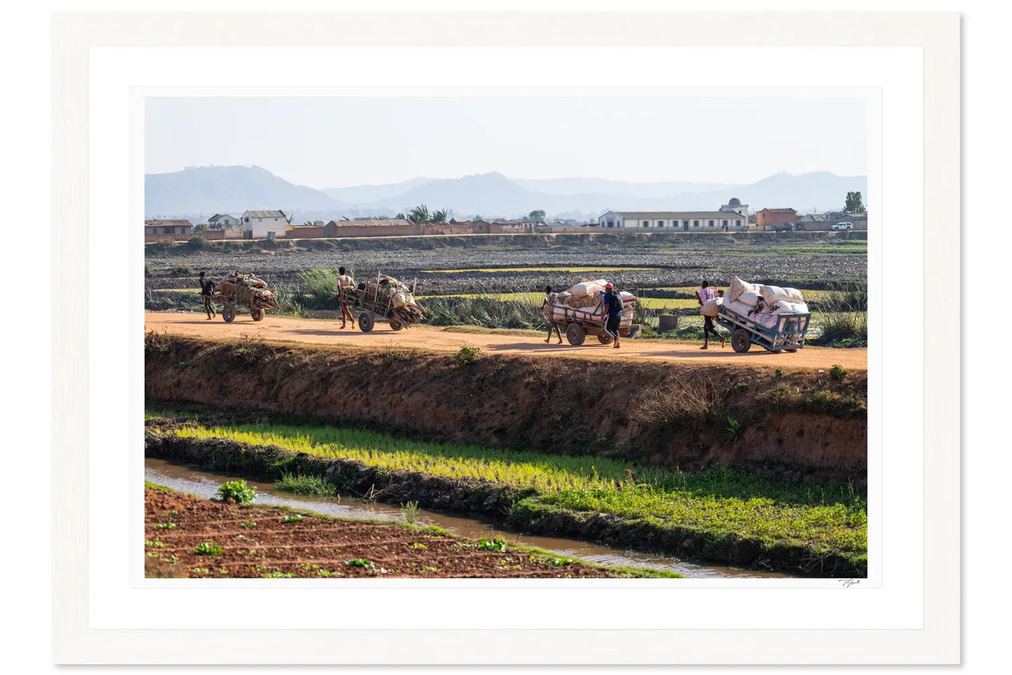 Malagasi Farmers - Tommy Joyce