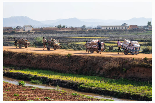 Malagasi Farmers - Tommy Joyce