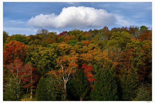 Autumn Clouds