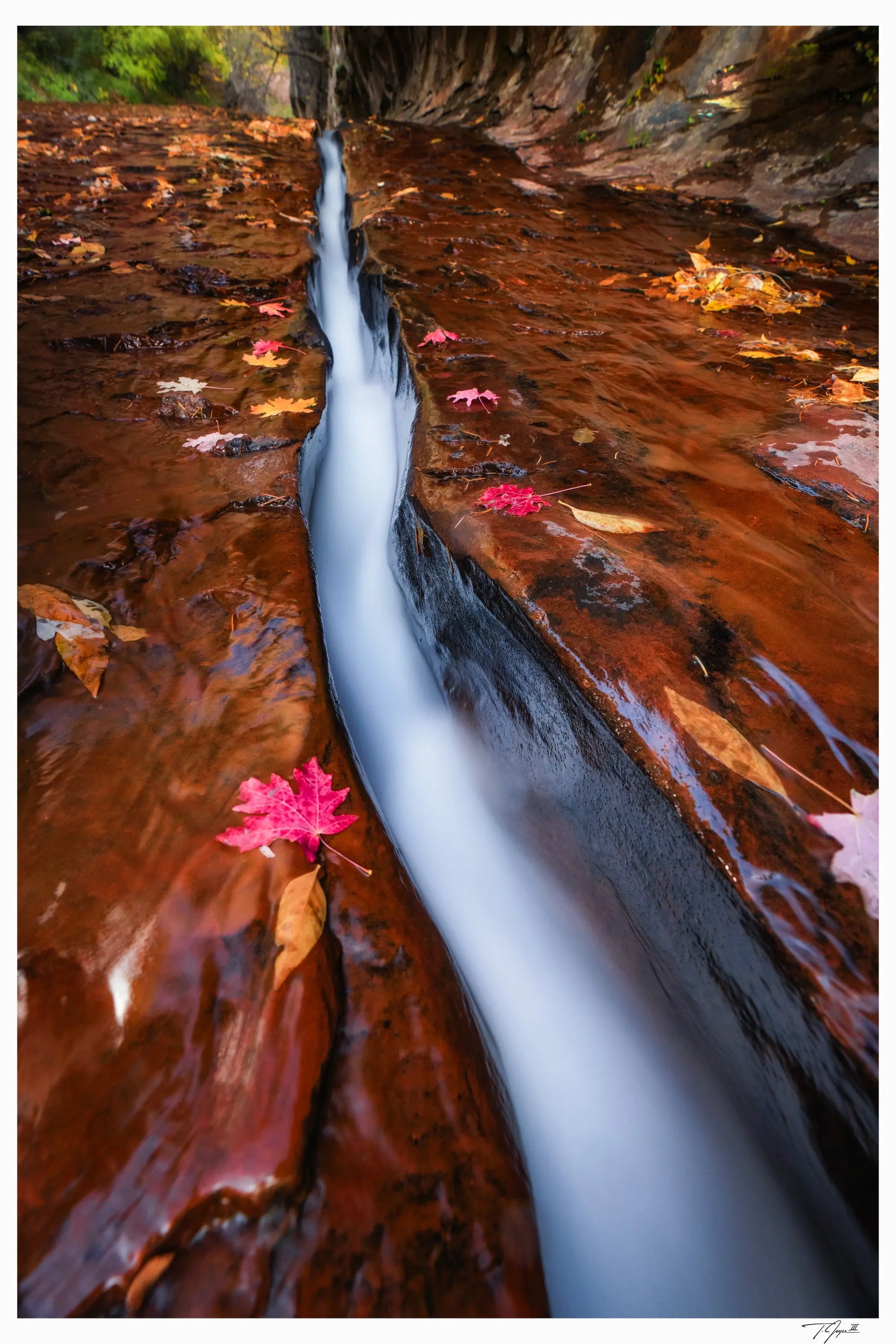 Water Carved - Tommy Joyce