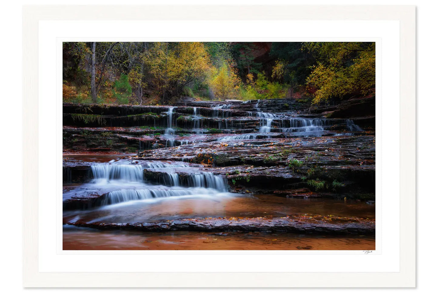 Fall Cascade - Tommy Joyce