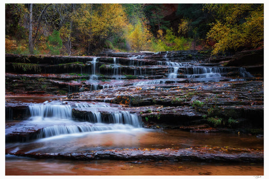 Fall Cascade - Tommy Joyce